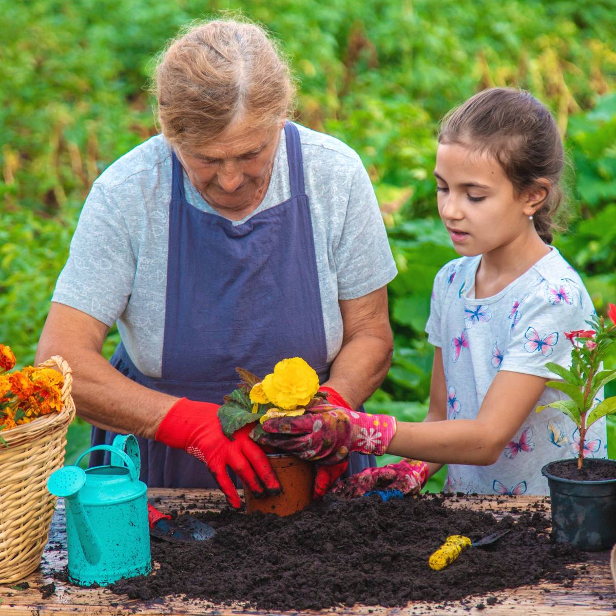 Grandma's Garden