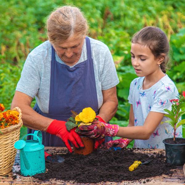 Grandma's Garden